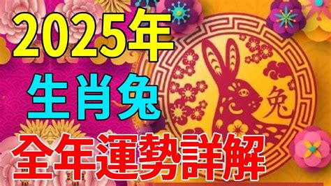 2024年屬兔運勢|2024屬兔幾歲、2024屬兔今年運勢、屬兔幸運色